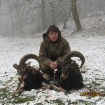 Lov na muflona
